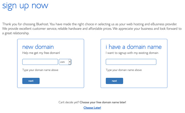 create online store - bluehost domain