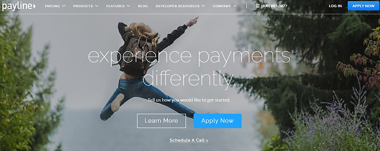 PayPal alternatives - Payline