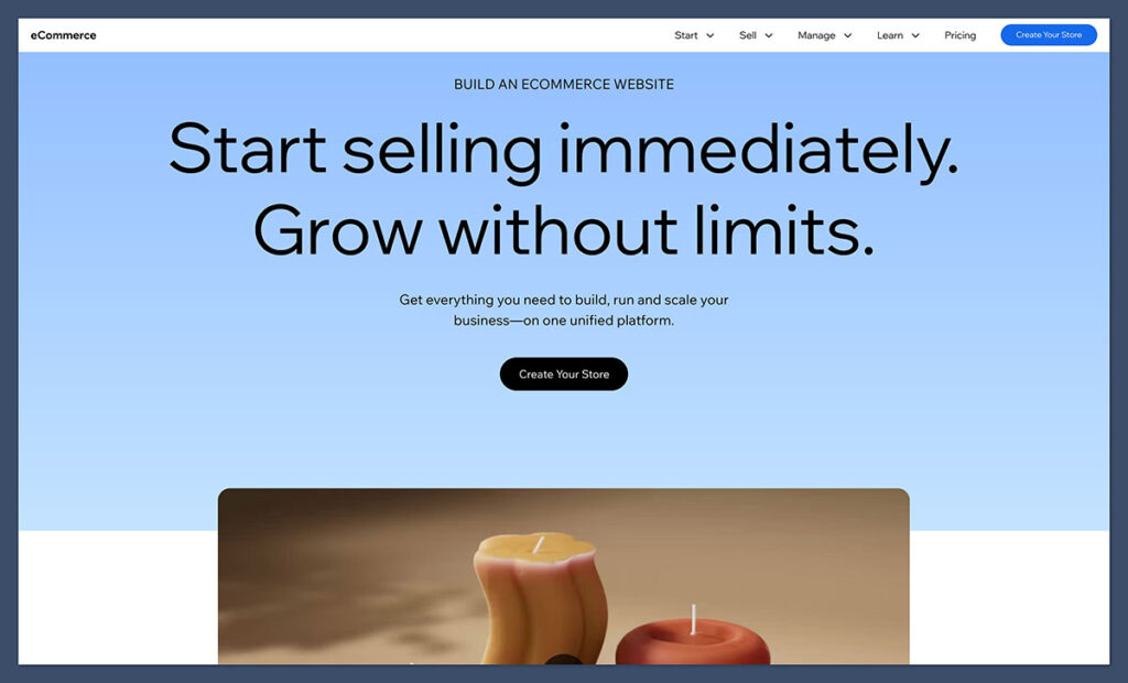 wix store ecommerce homepage