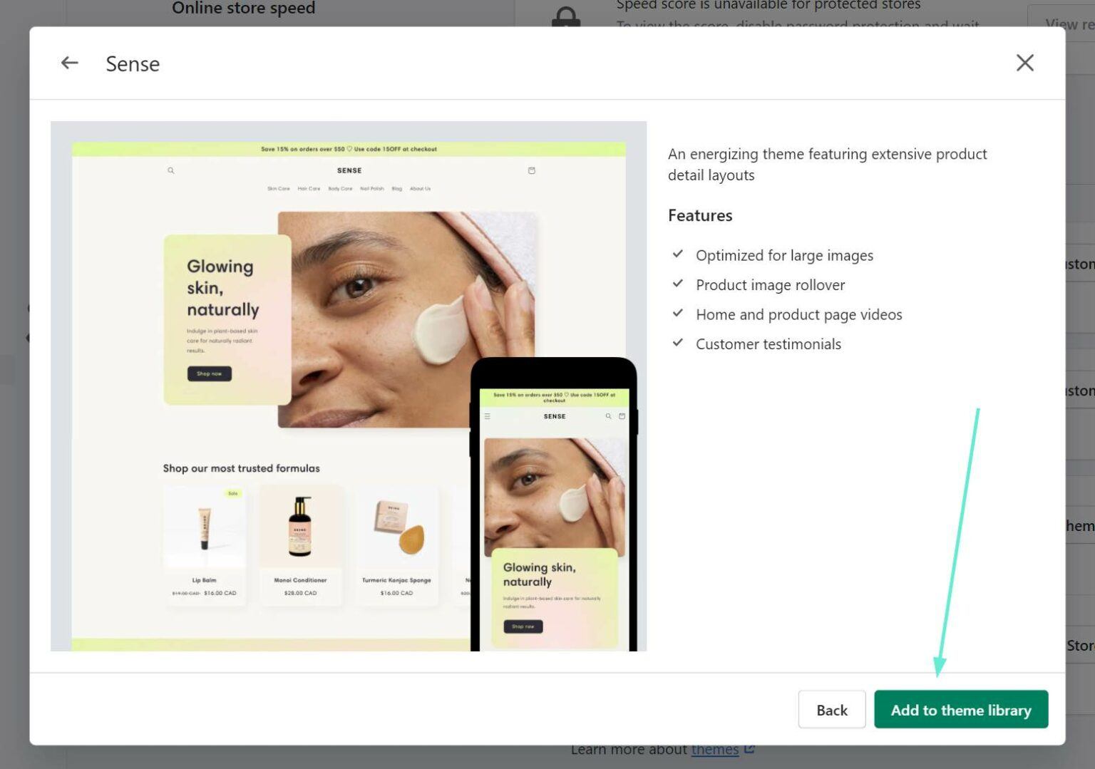 How to Change Themes on Shopify (And Transfer Most Of Your Content ...