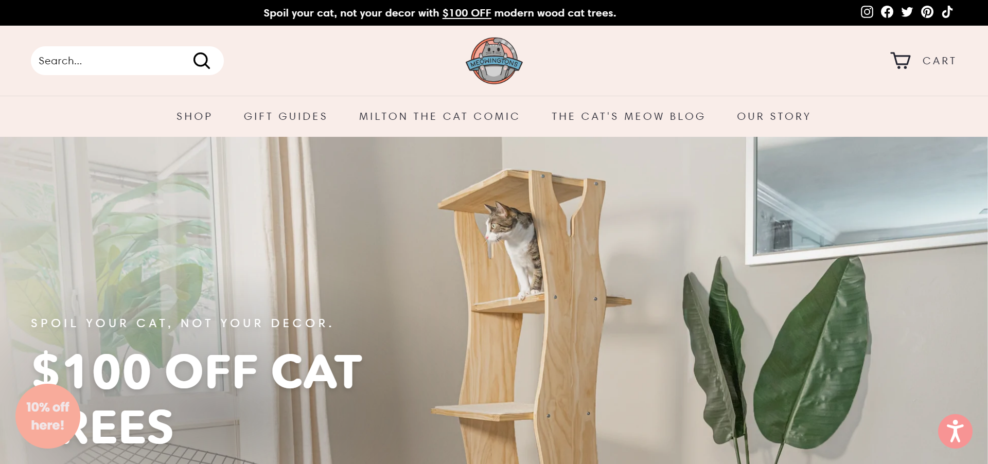 20 Best Print on Demand Store Examples Platforms