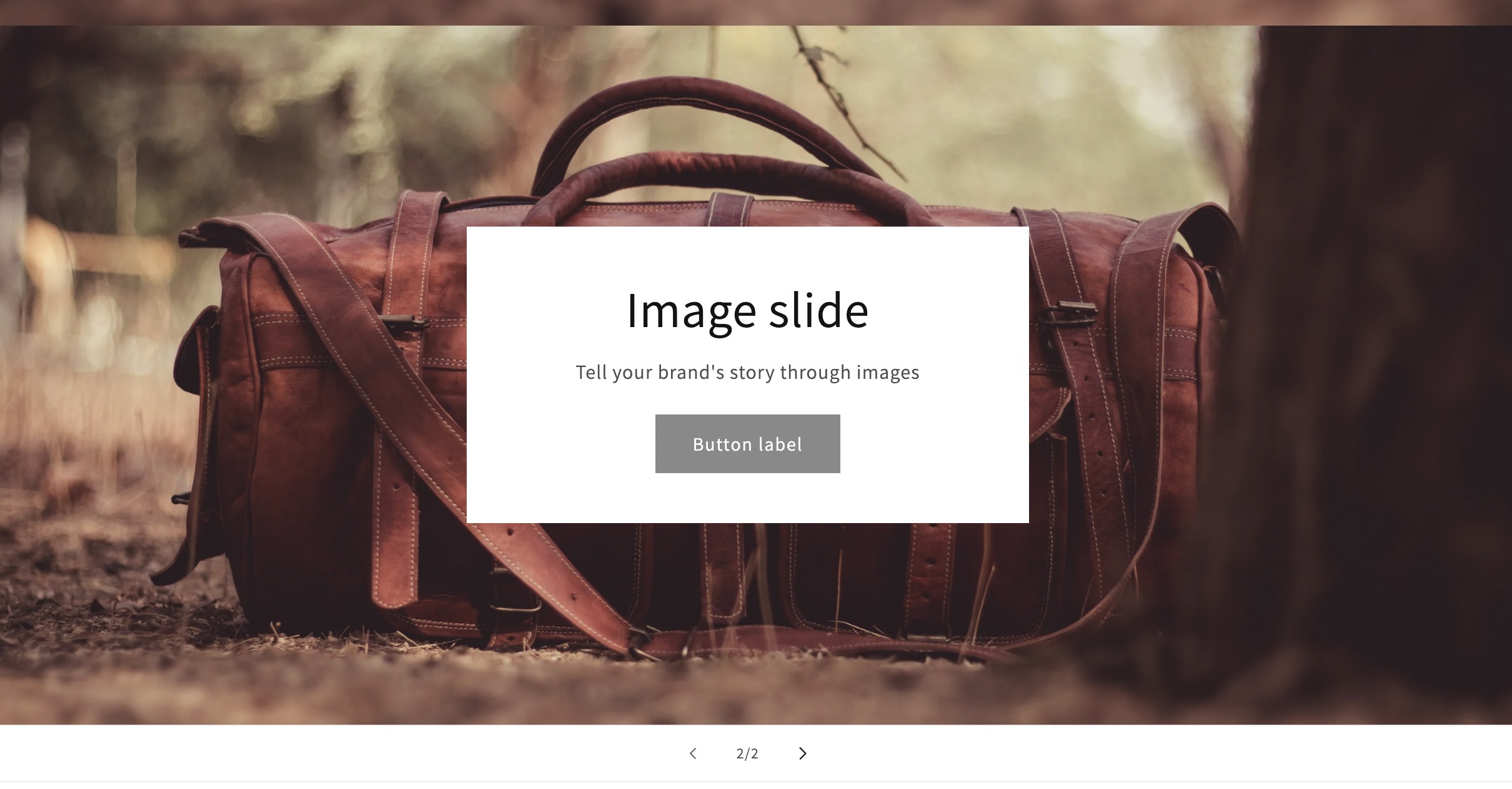 image slider and Shopify image size