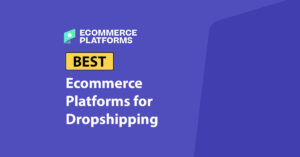 best ecommerce platforms for dropshipping