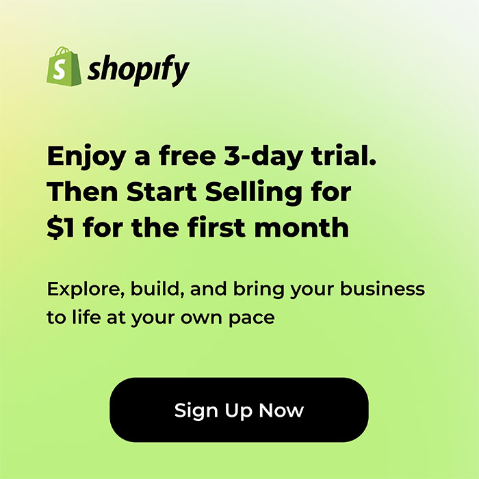 how to start an online store with one dollar for three months